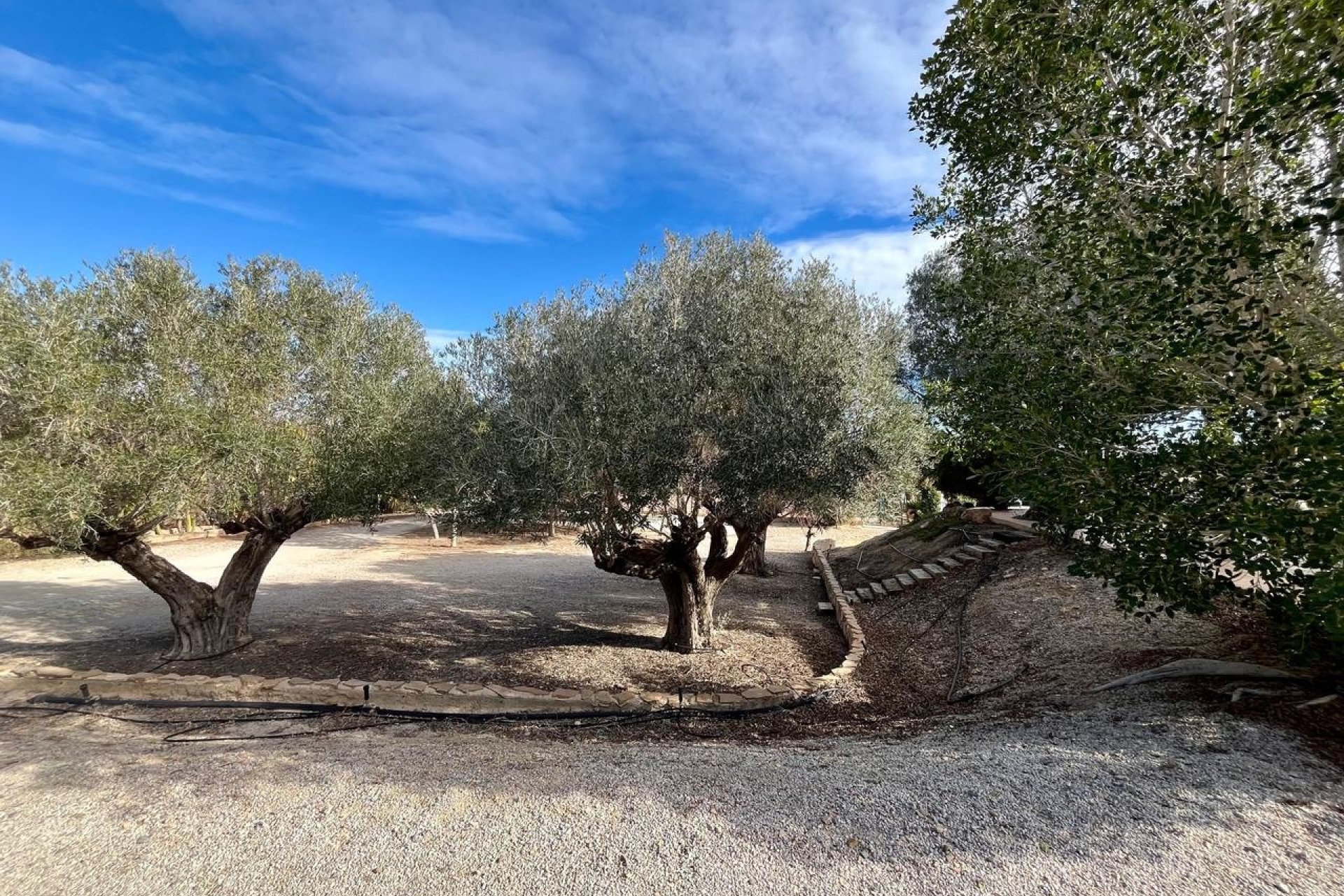 Perpardavimas - Vila - El Esparragal