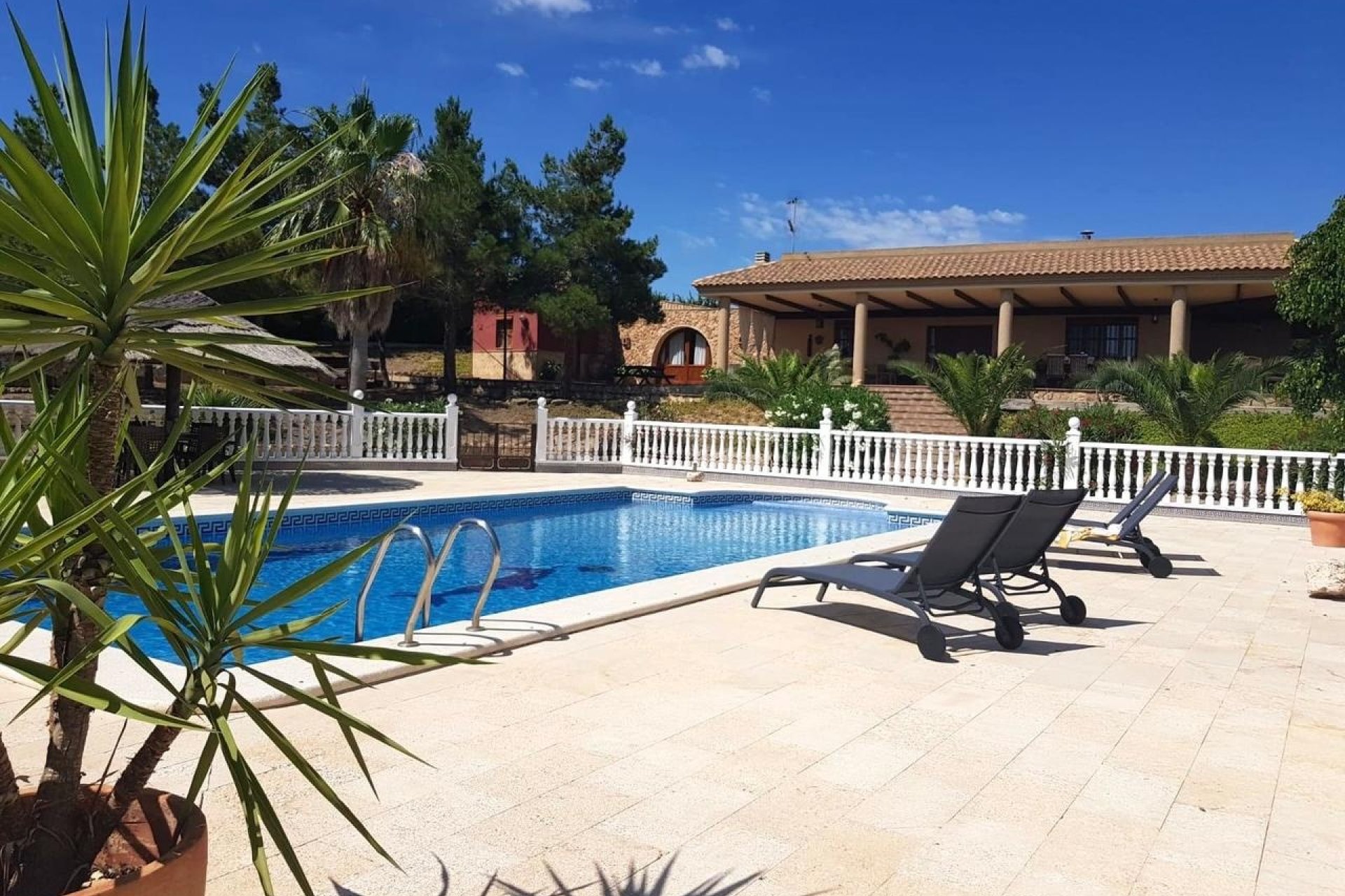 Perpardavimas - Vila - El Esparragal