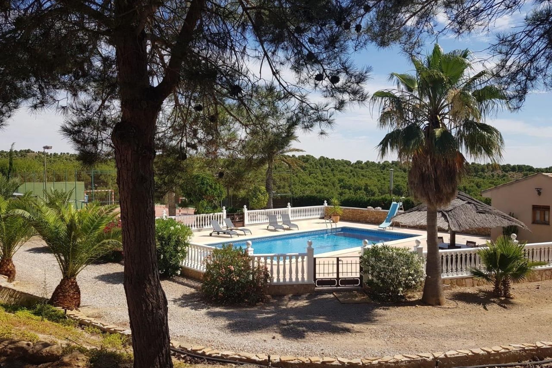 Perpardavimas - Vila - El Esparragal