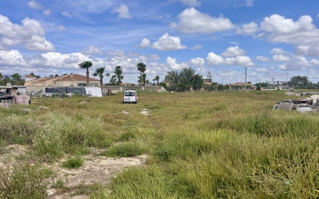 Plot - Resale - Catral - Catral