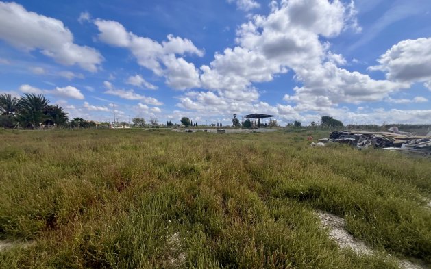 Plot - Resale - Catral - Catral