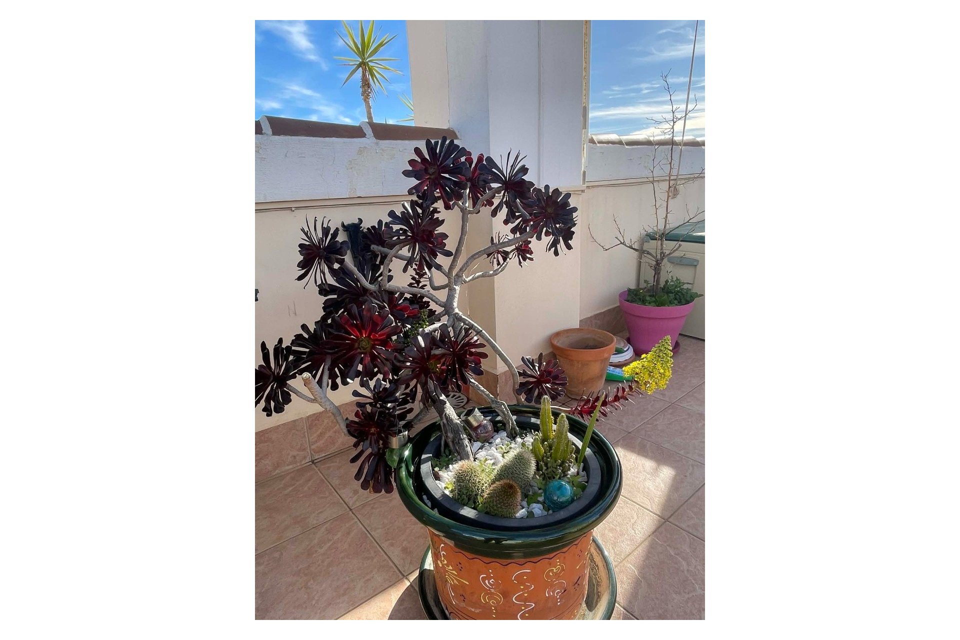 Resale - Apartment / flat - Orihuela Costa - Los Altos