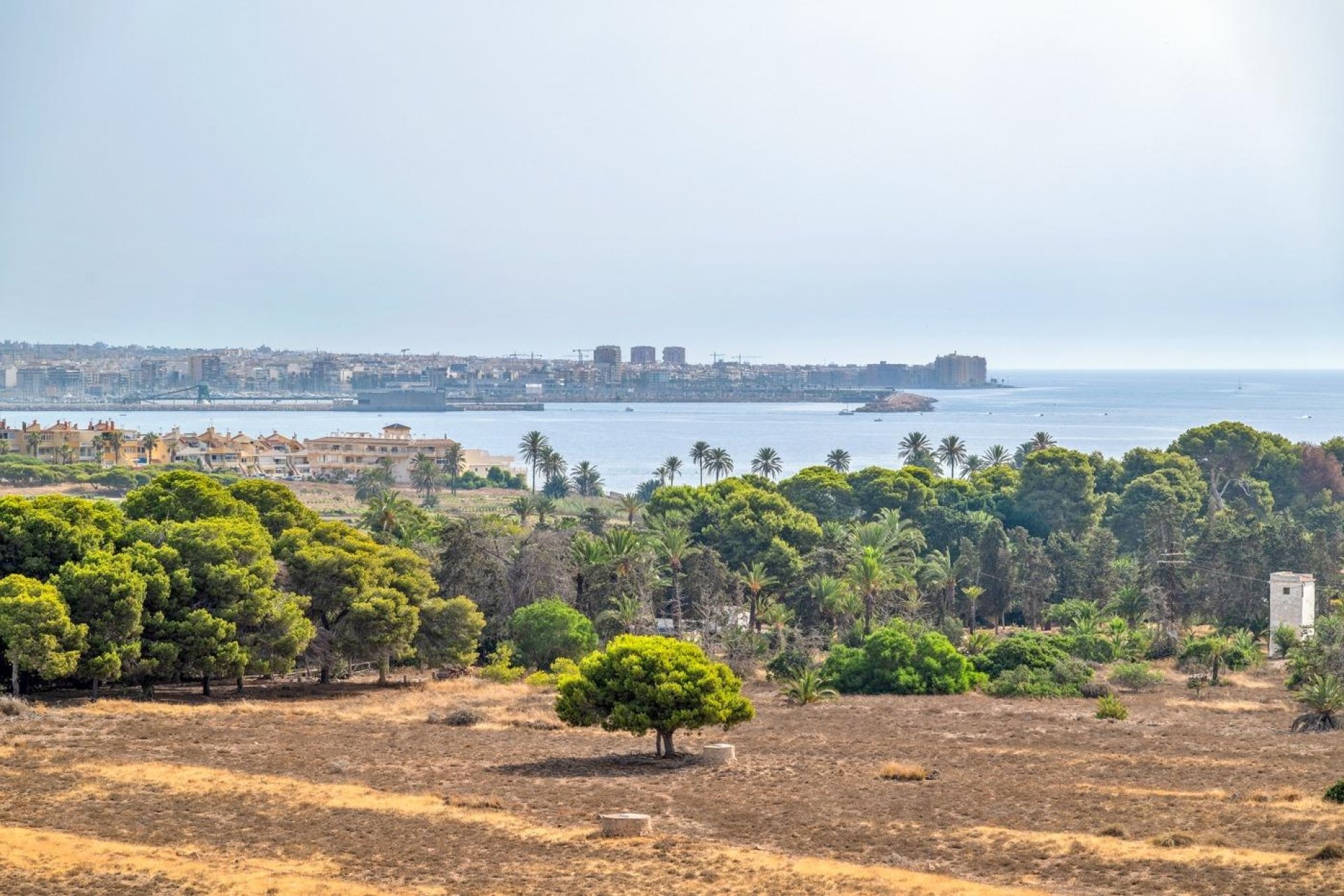 Resale - Apartment / flat - Torrevieja - Punta Prima