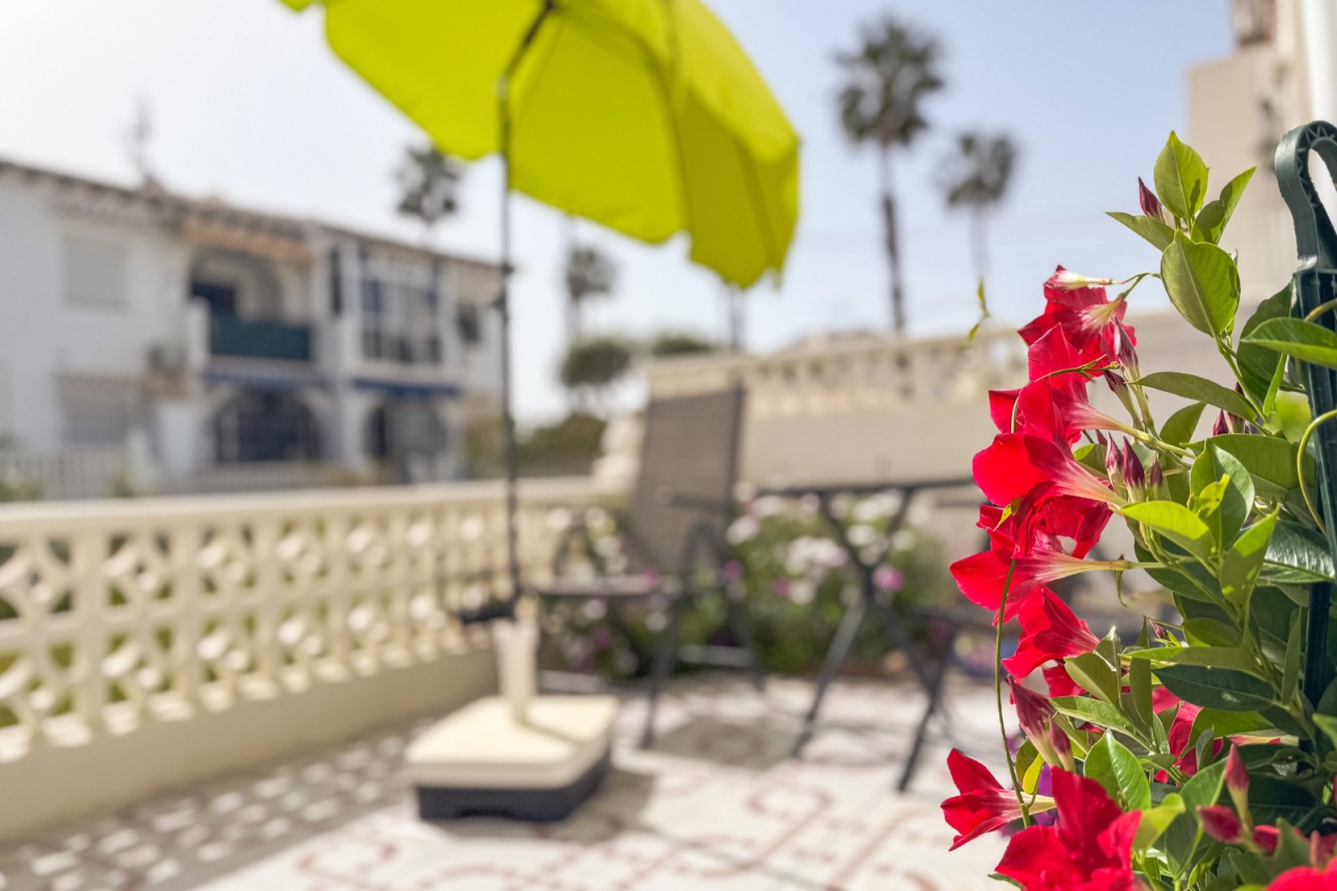 Resale - Bungalow - Torrevieja - Lago Jardin