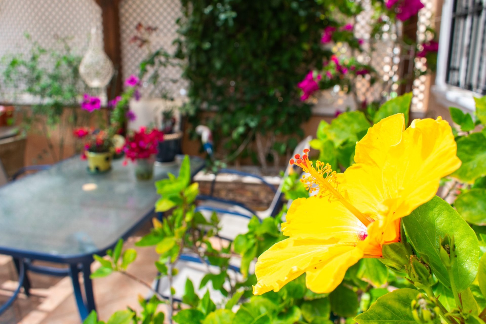 Resale - Duplex - Orihuela Costa - Los Dolses