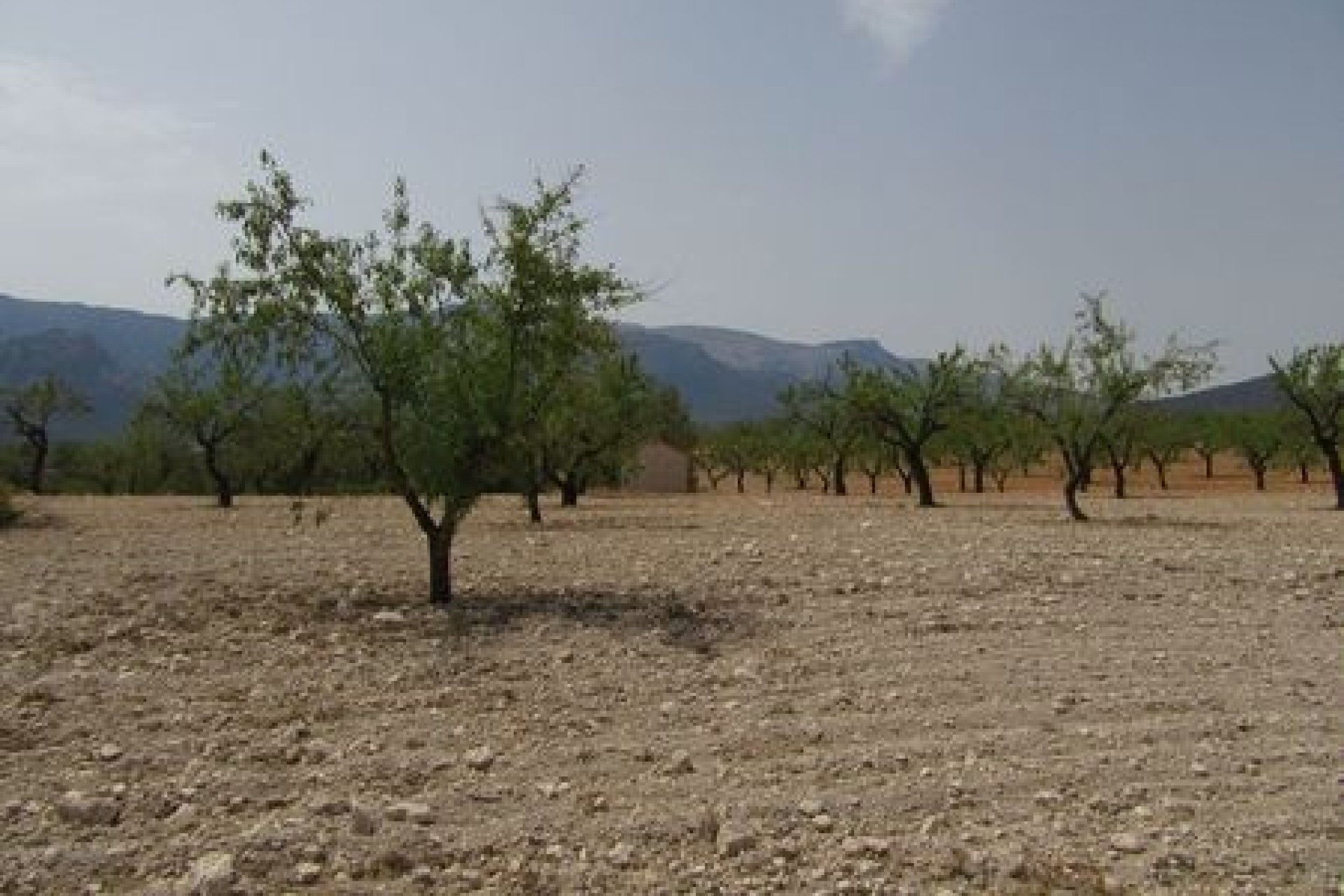 Resale - Parcela - Murcia