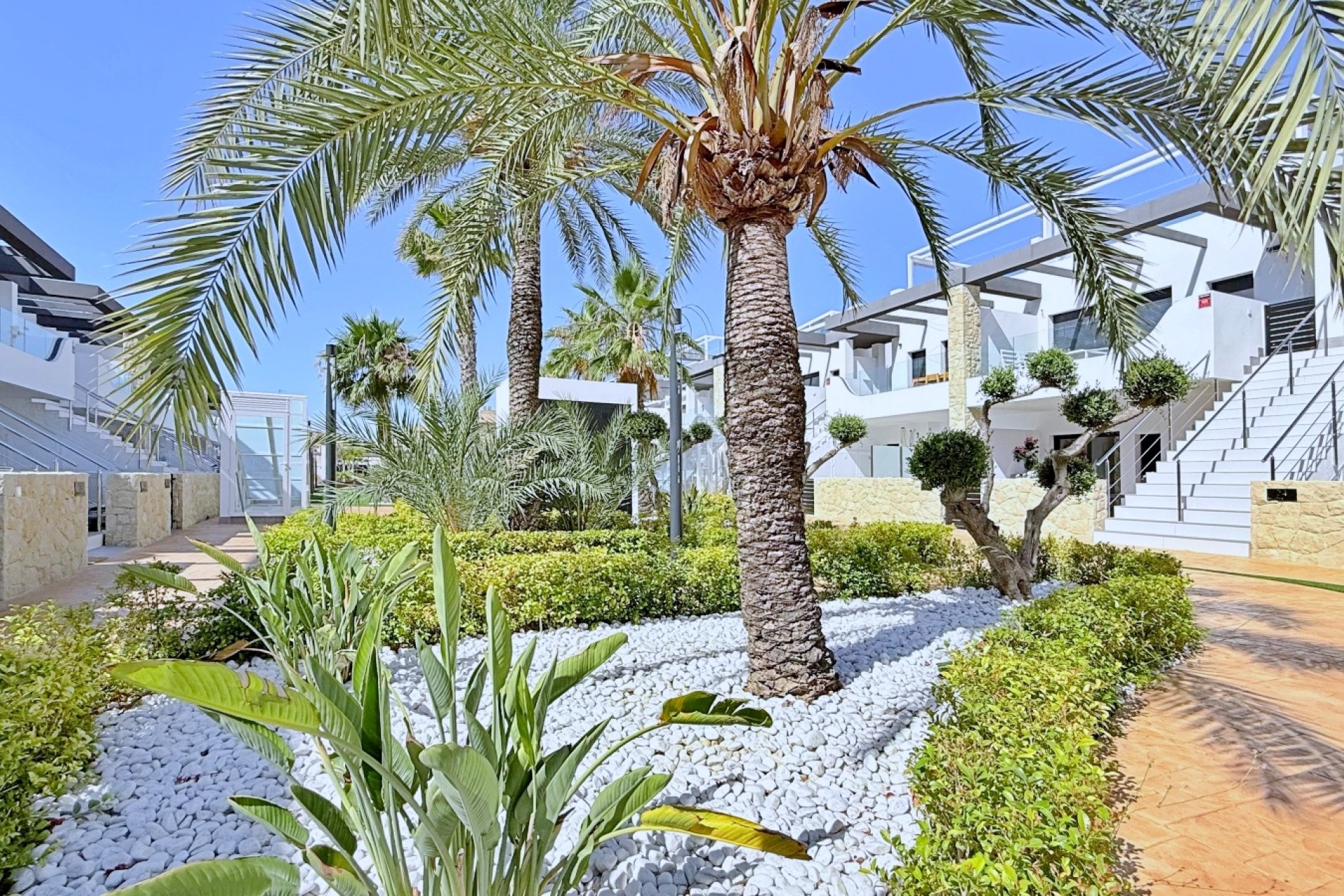 Resale - Penthouse - Orihuela Costa - Punta Prima