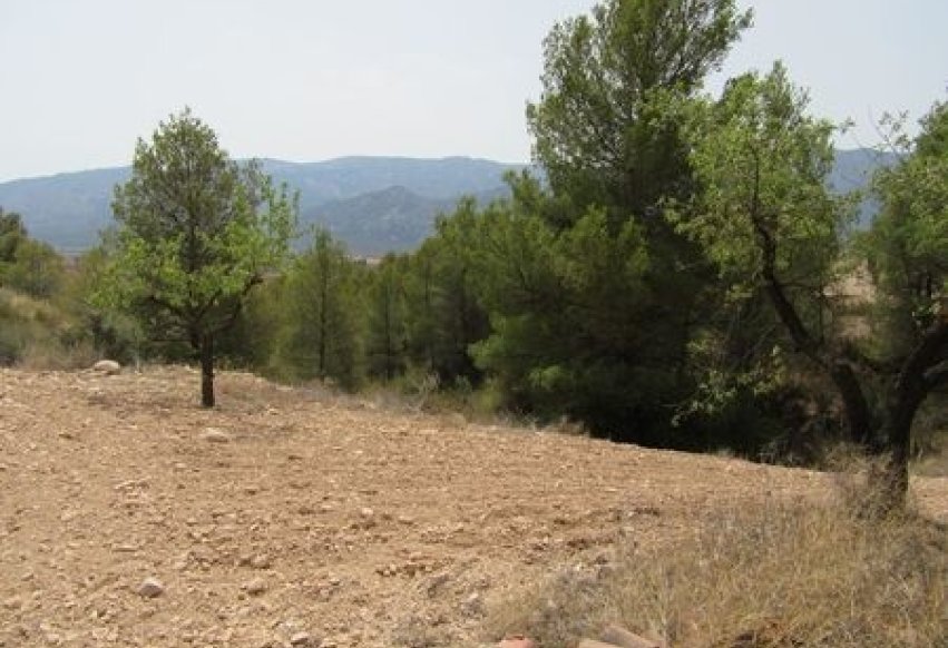 Resale - Plot - Murcia