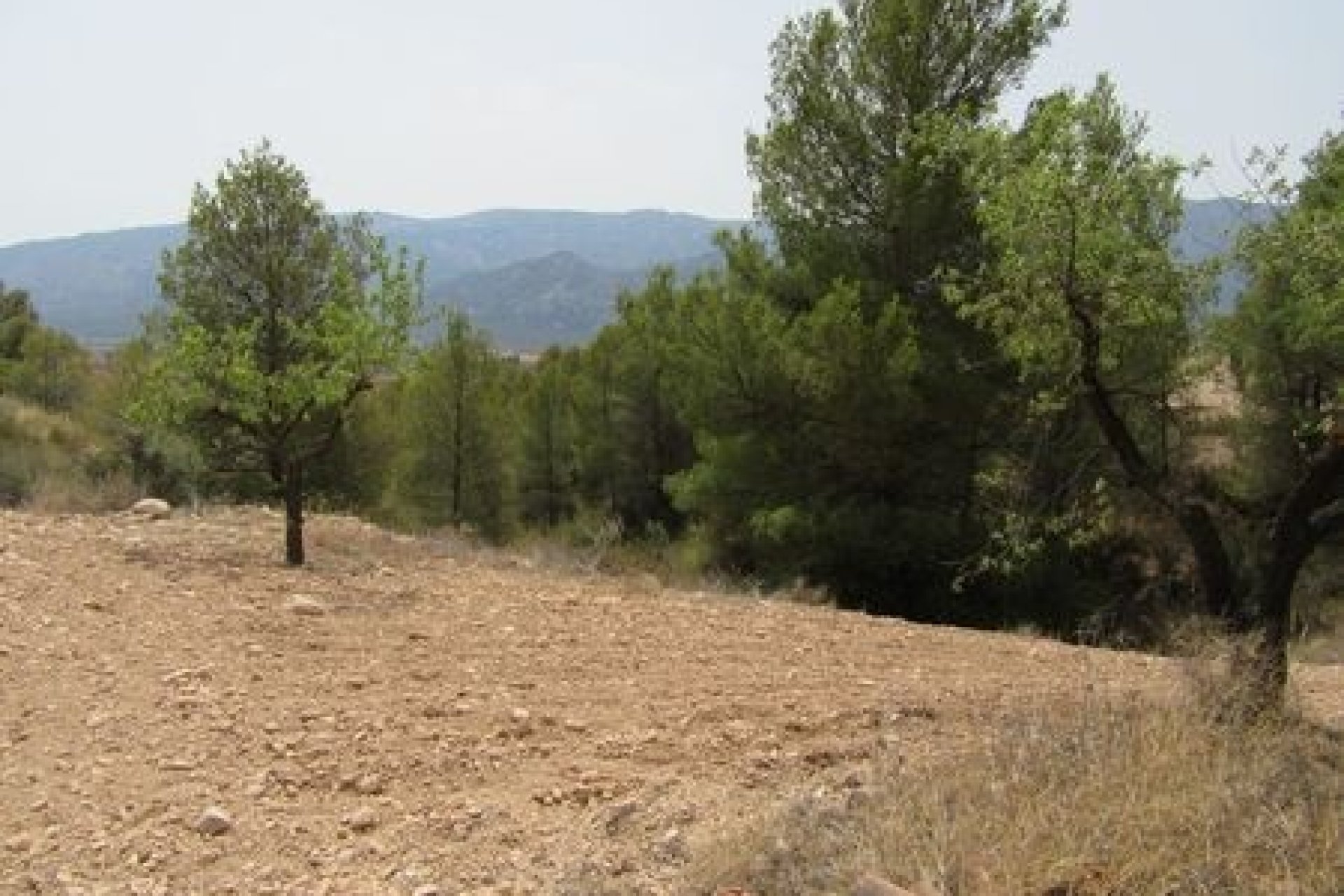 Resale - Plot - Murcia