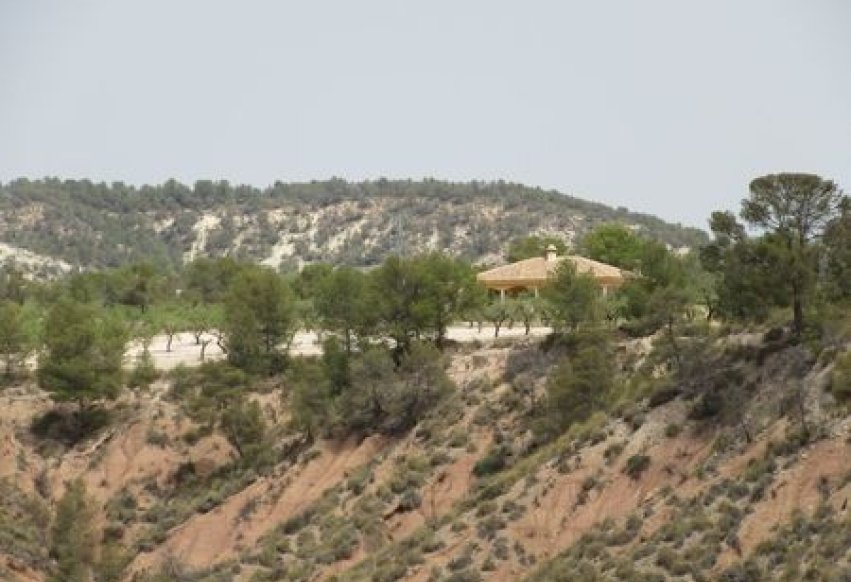 Resale - Plot - Murcia