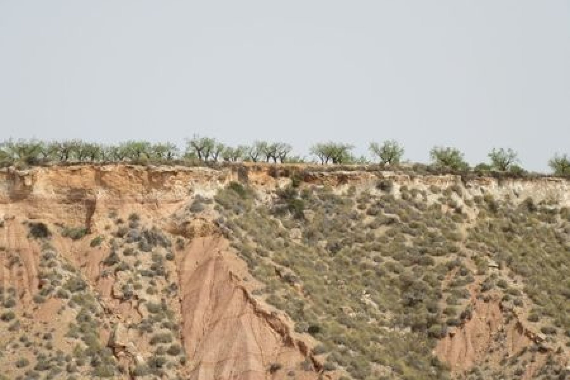 Resale - Plot - Murcia