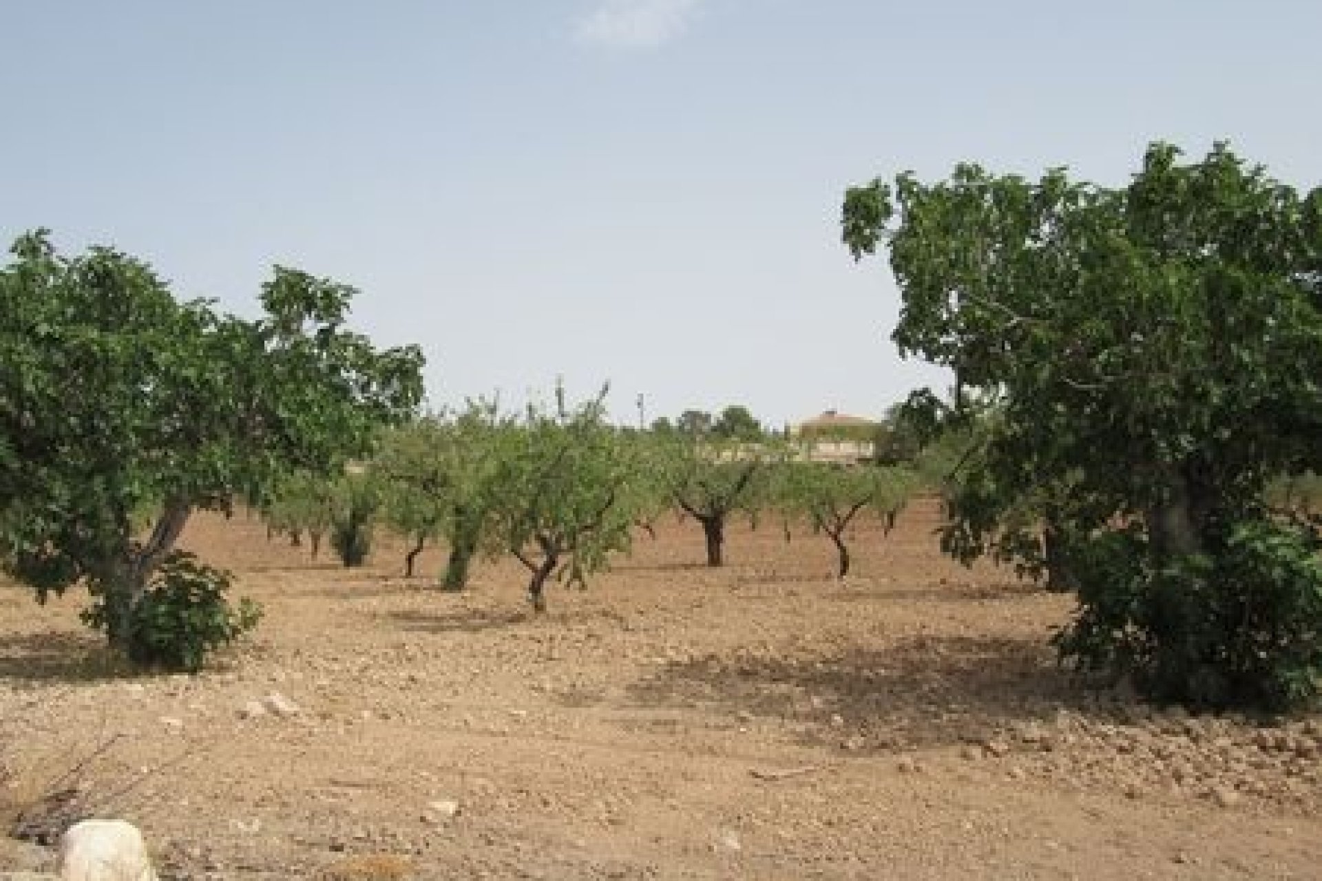 Resale - Plot - Murcia