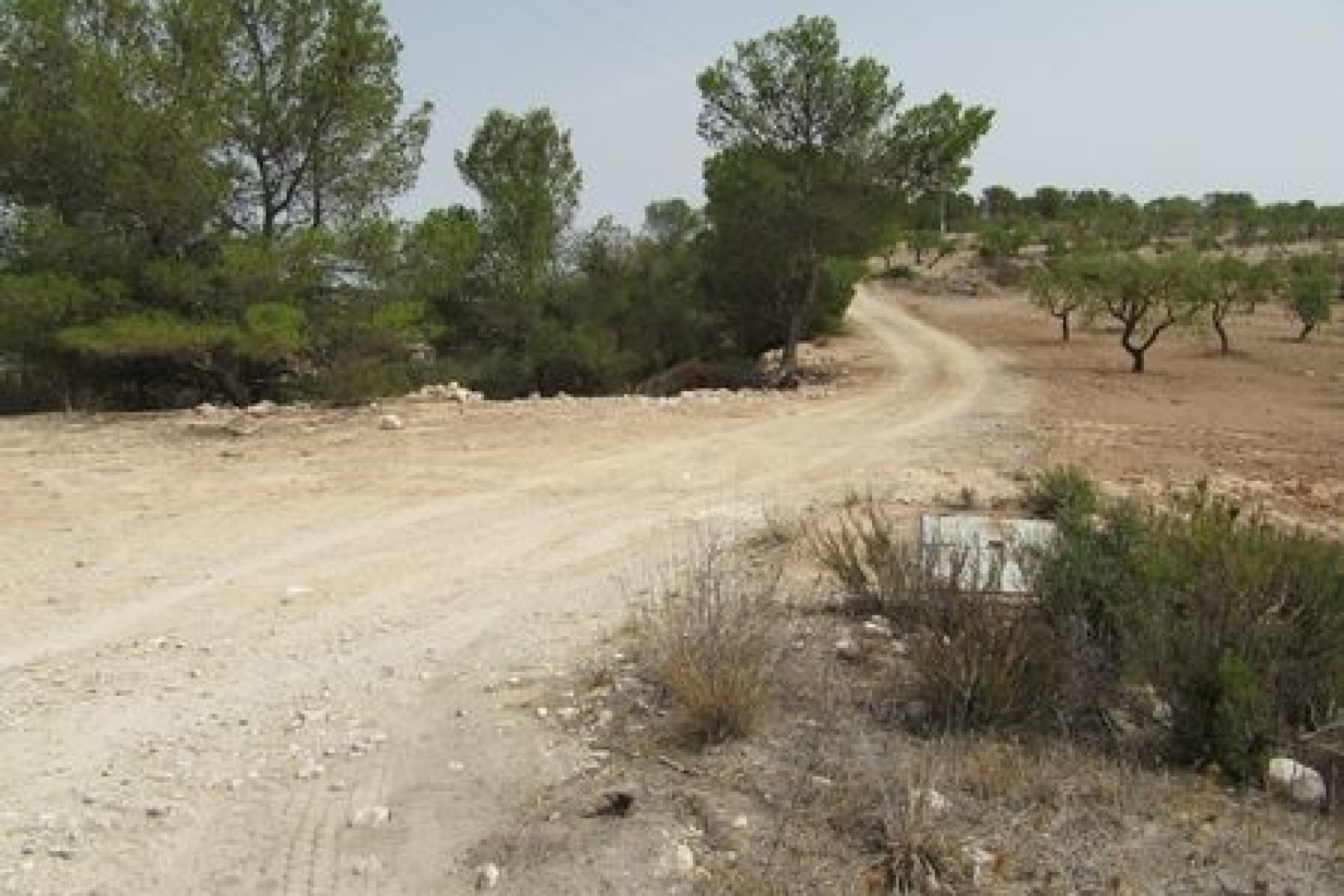Resale - Plot - Murcia