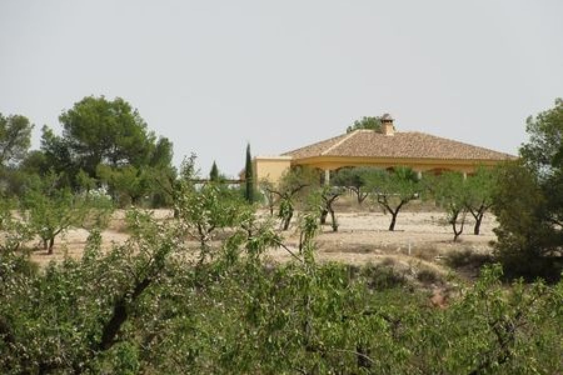 Resale - Plot - Murcia
