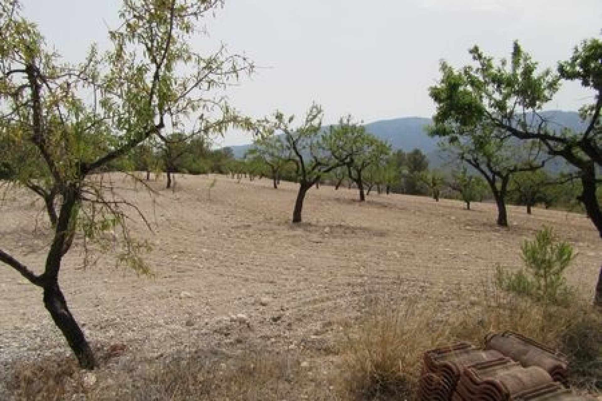 Resale - Plot - Murcia