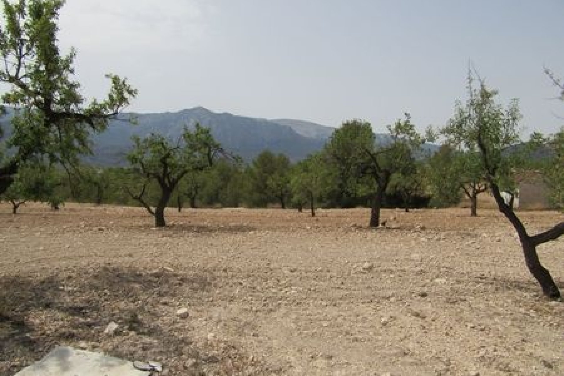 Resale - Plot - Murcia