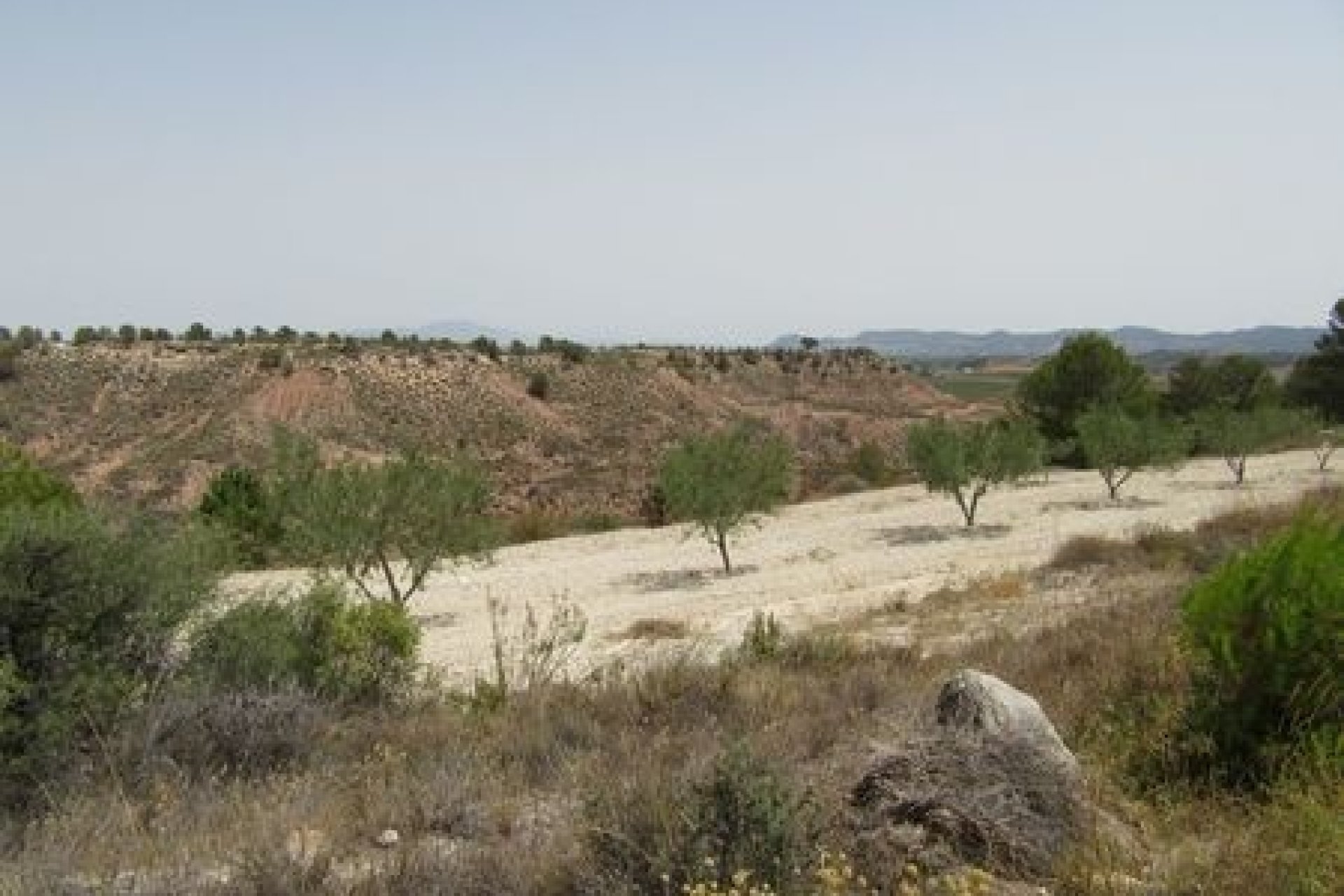 Resale - Plot - Murcia