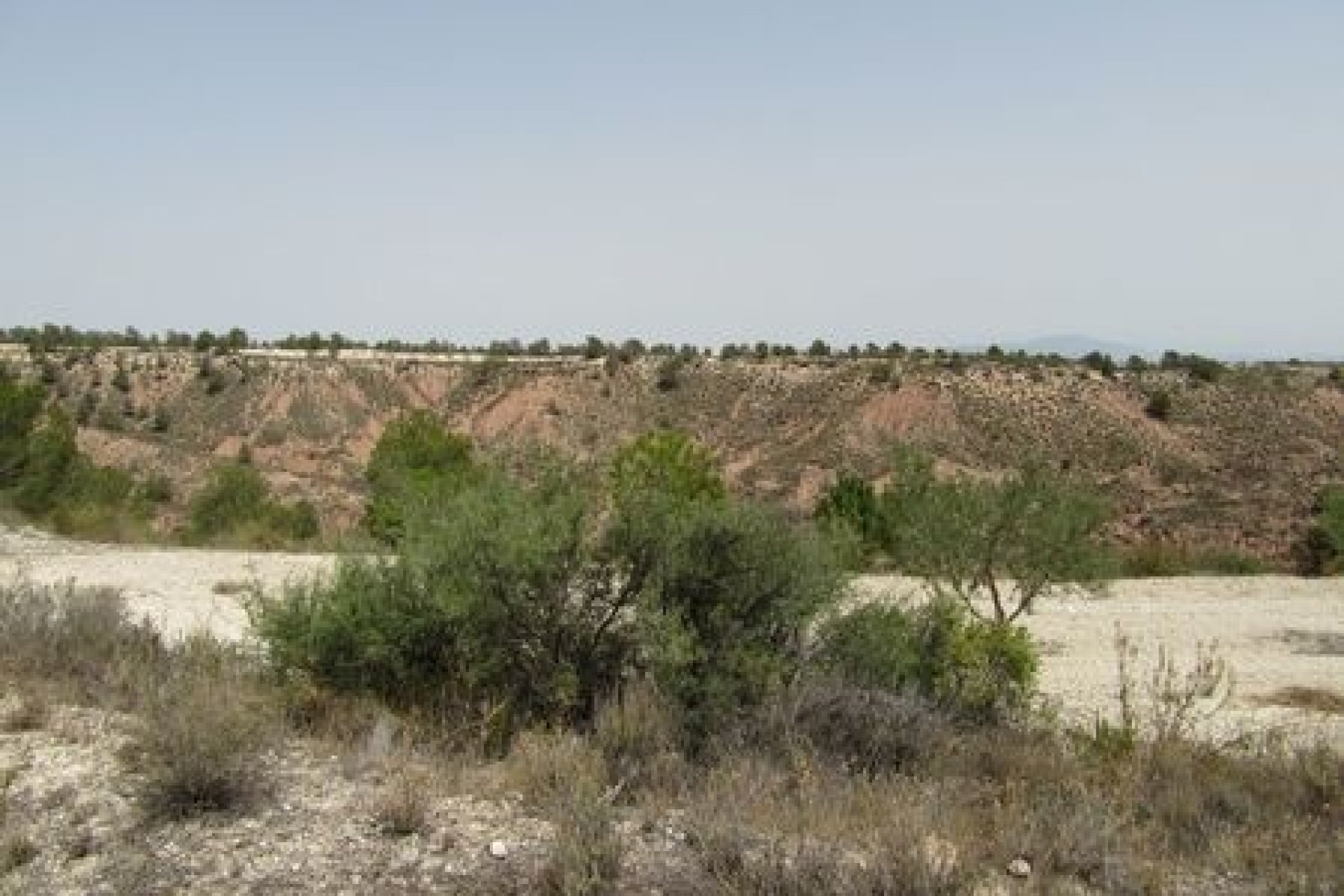 Resale - Plot - Murcia