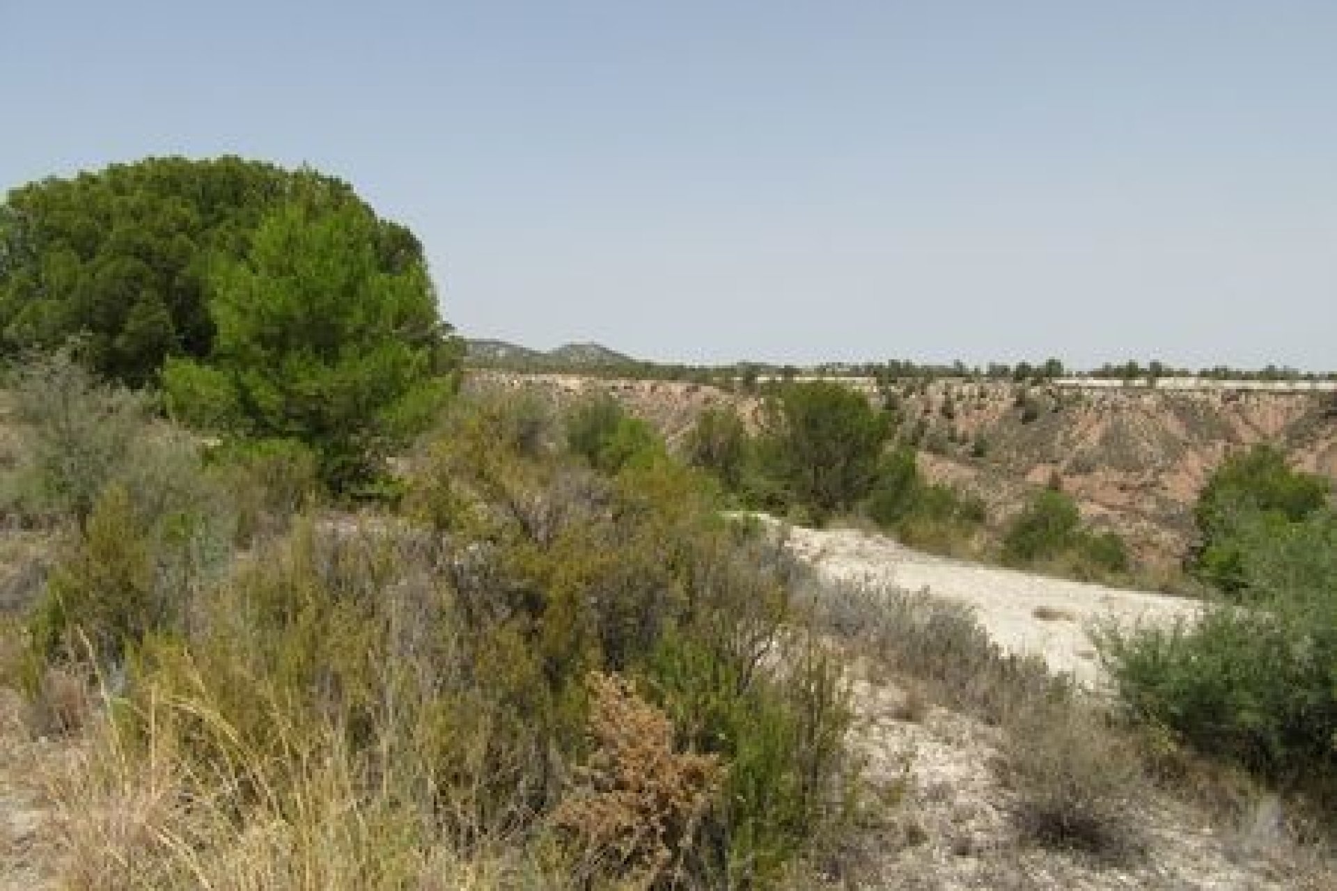 Resale - Plot - Murcia