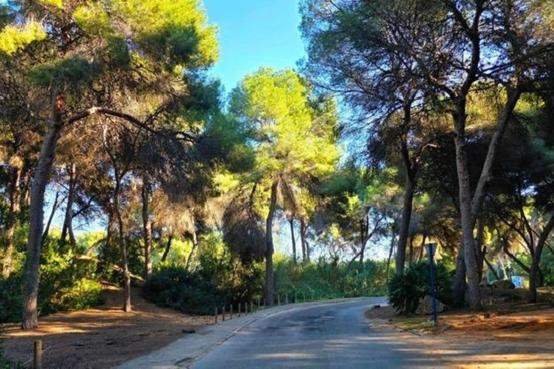Resale - Villa - Orihuela Costa - Campoamor