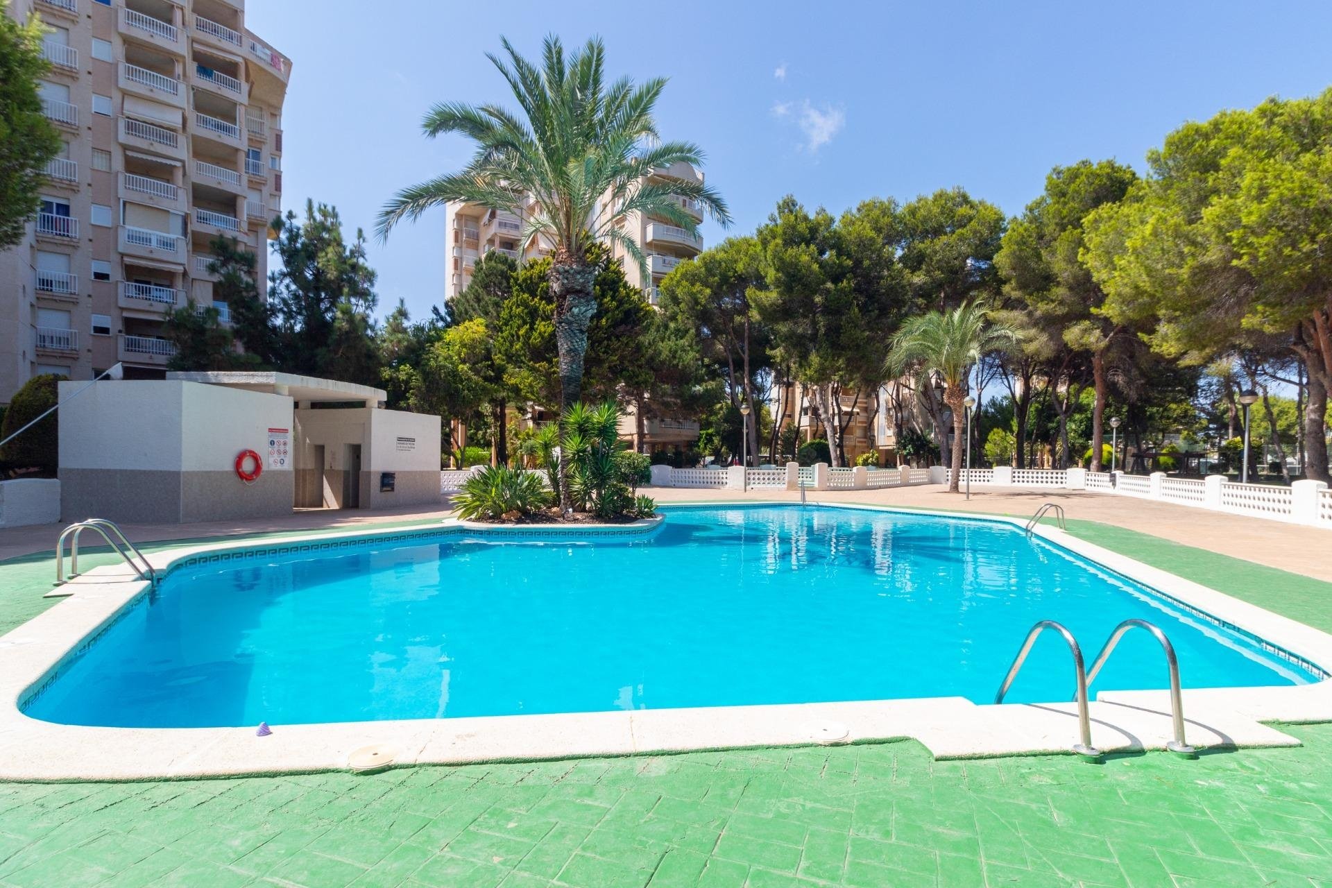 Reventa - Apartamento / piso - Orihuela Costa - Campoamor