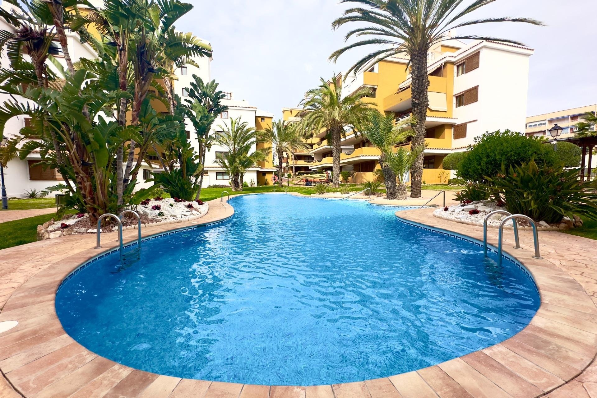 Reventa - Apartamento / piso - Torrevieja - Punta Prima