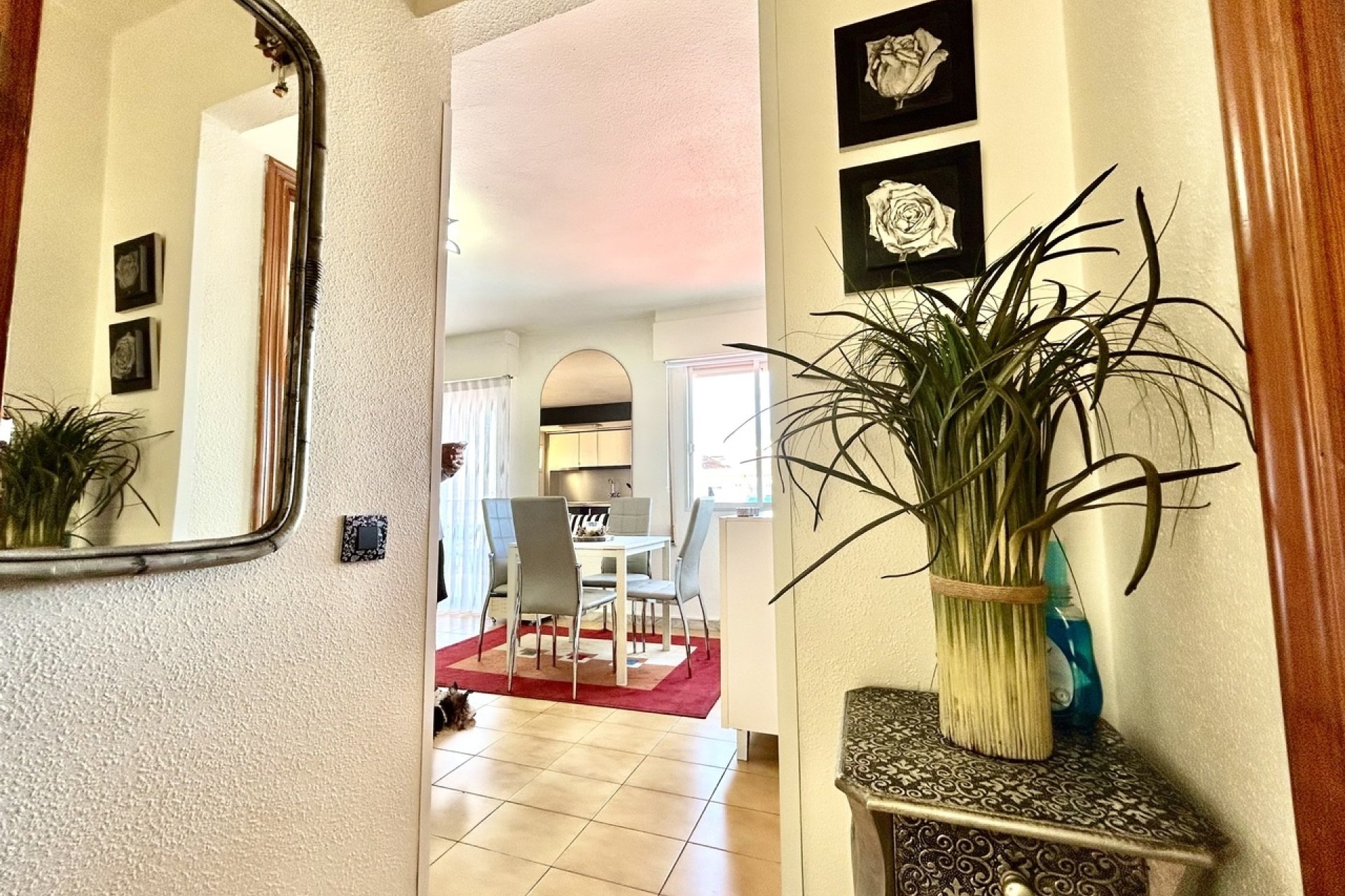 Reventa - Apartamento / piso - Torrevieja