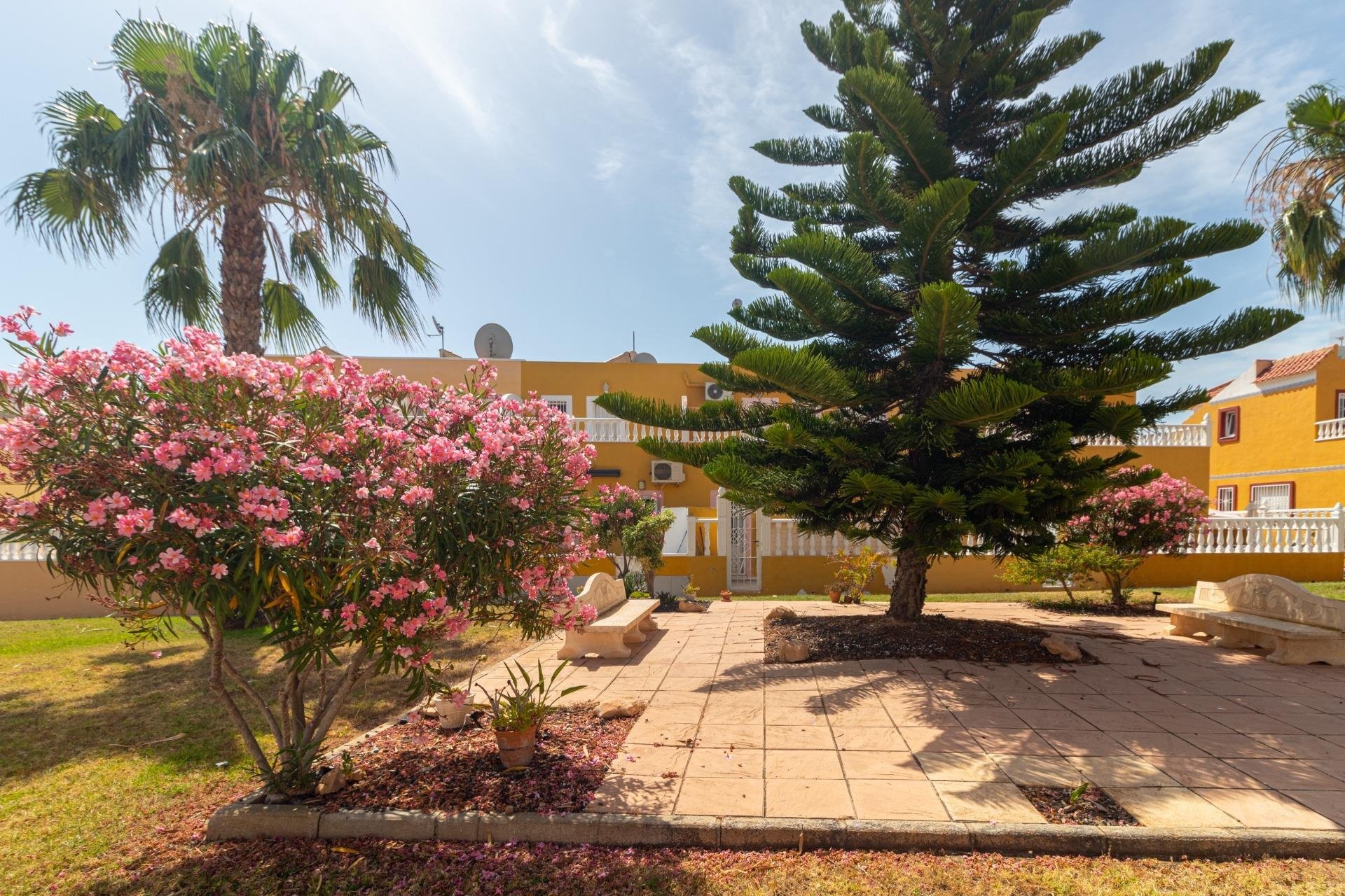 Reventa - Duplex - Orihuela Costa - La Regia
