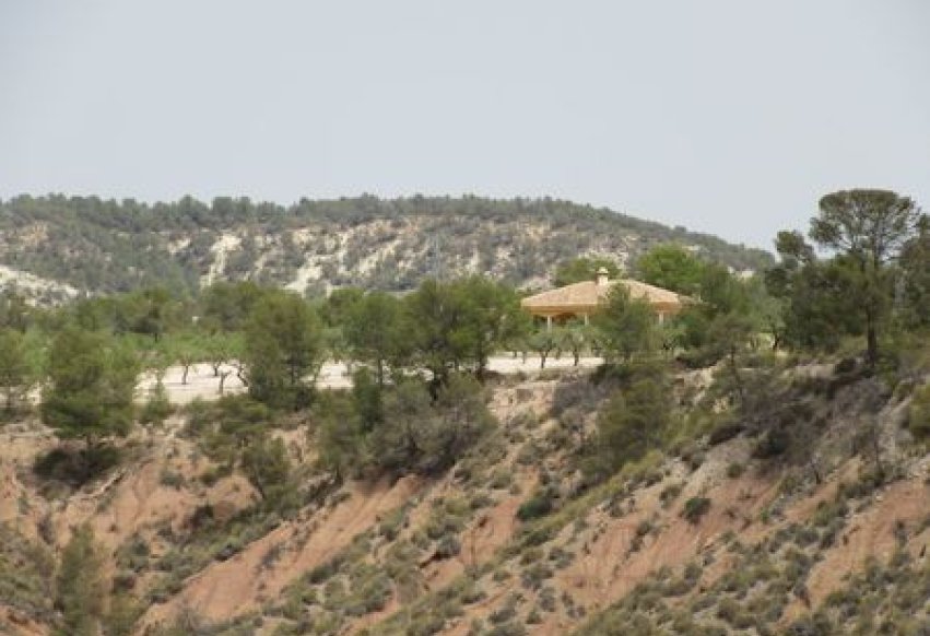 Reventa - Parcela - Murcia