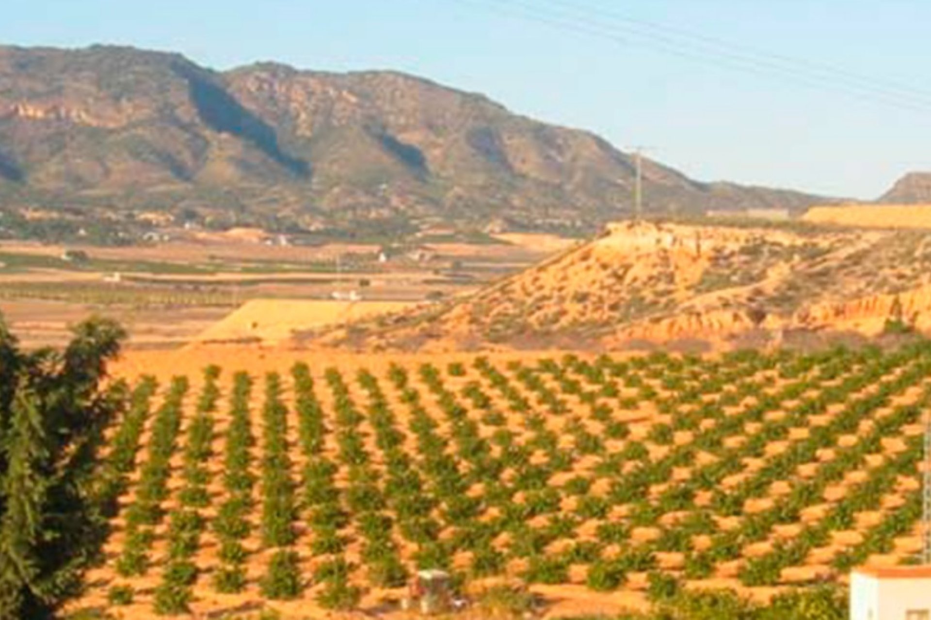 Reventa - Parcela - Torre Pacheco