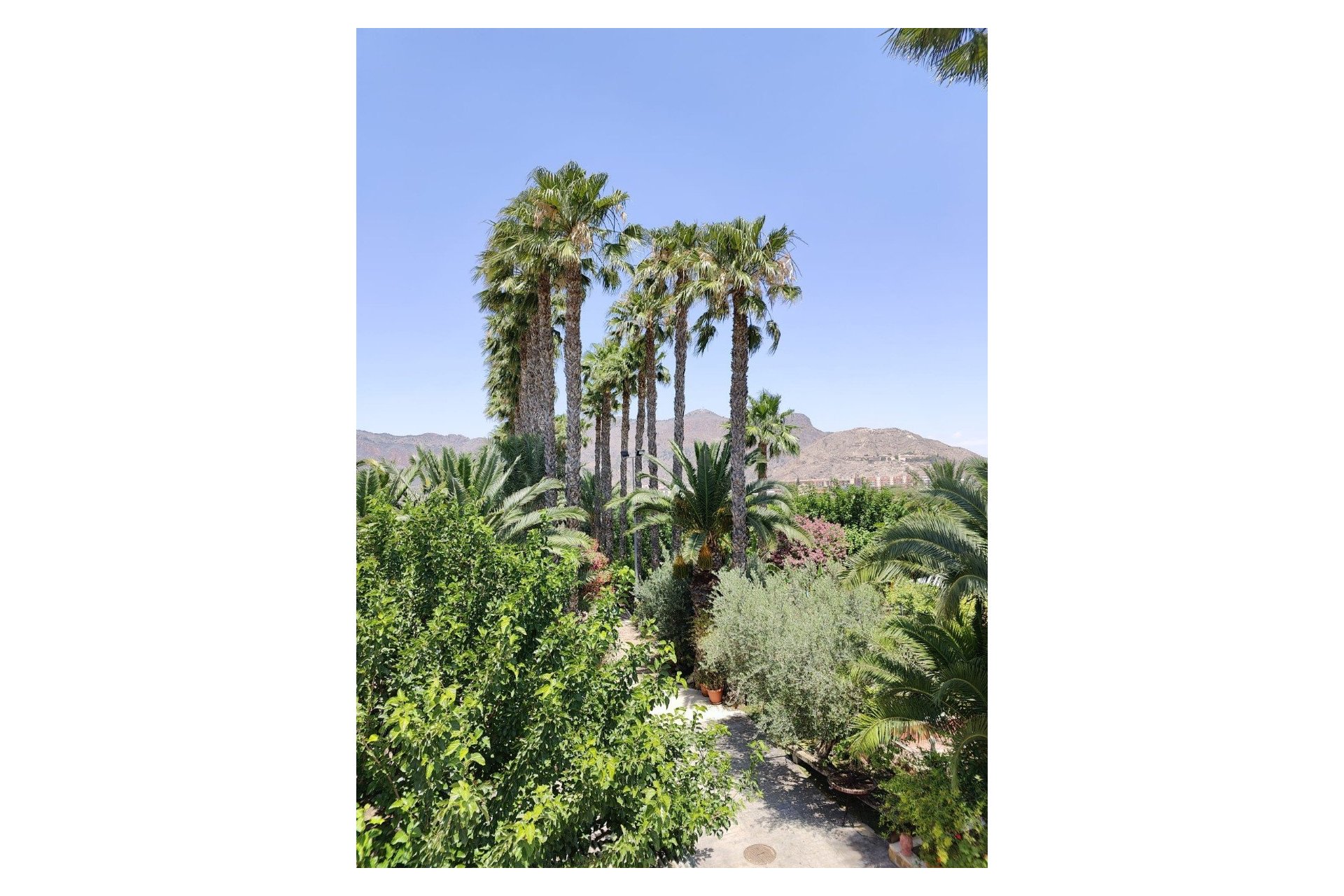 Reventa - Villa - Orihuela