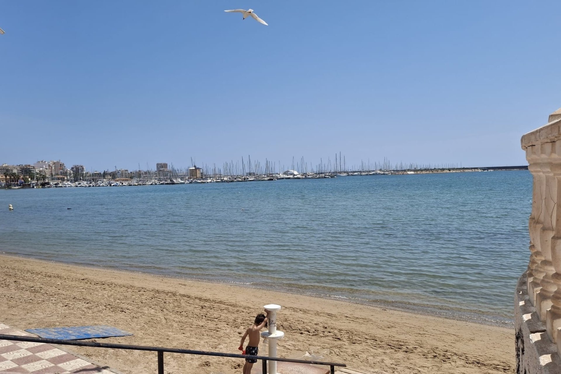 Revente - Apartment - Torrevieja - Playa Acequion