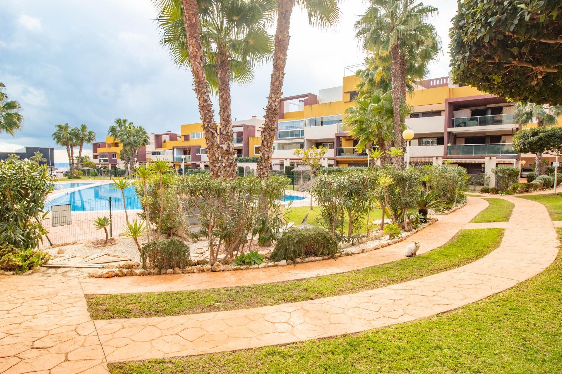 Revente - Appartement - Orihuela Costa - Playa Flamenca