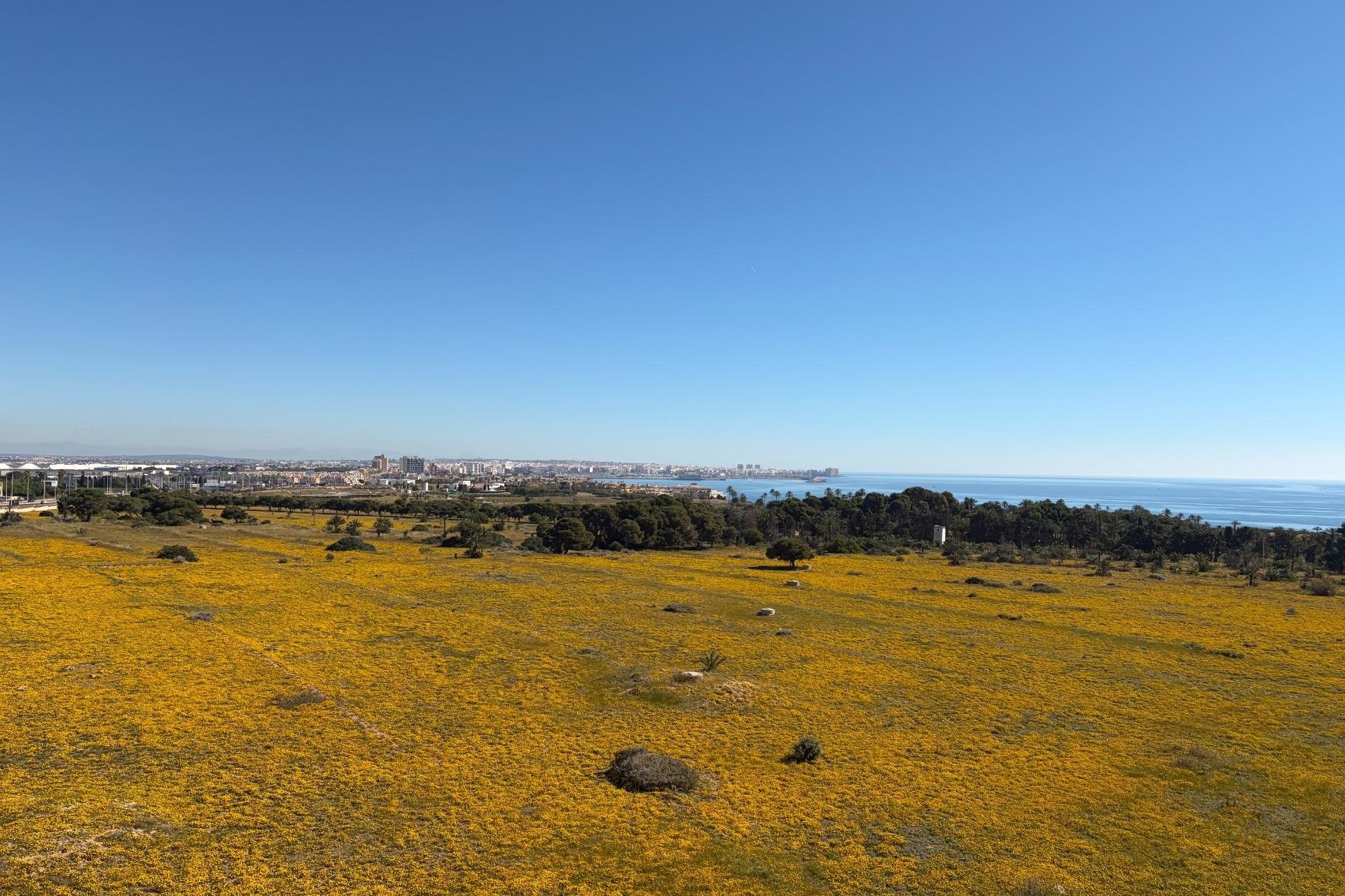 Revente - Attique - Torrevieja - Punta Prima