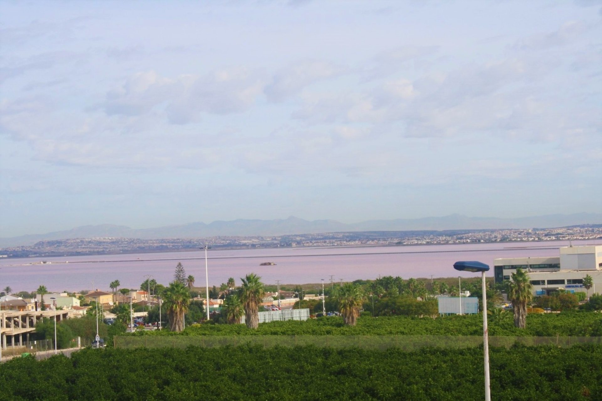 Revente - Duplex - Torrevieja - Los Balcones - Los Altos 