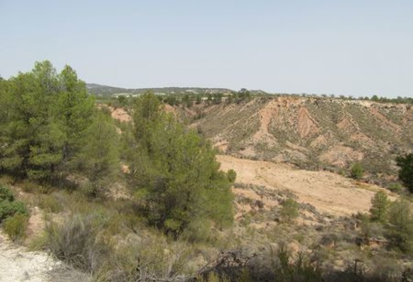 Revente - Parcela - Murcia