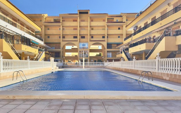 Studio - Begagnad - Torrevieja - Los Europeos