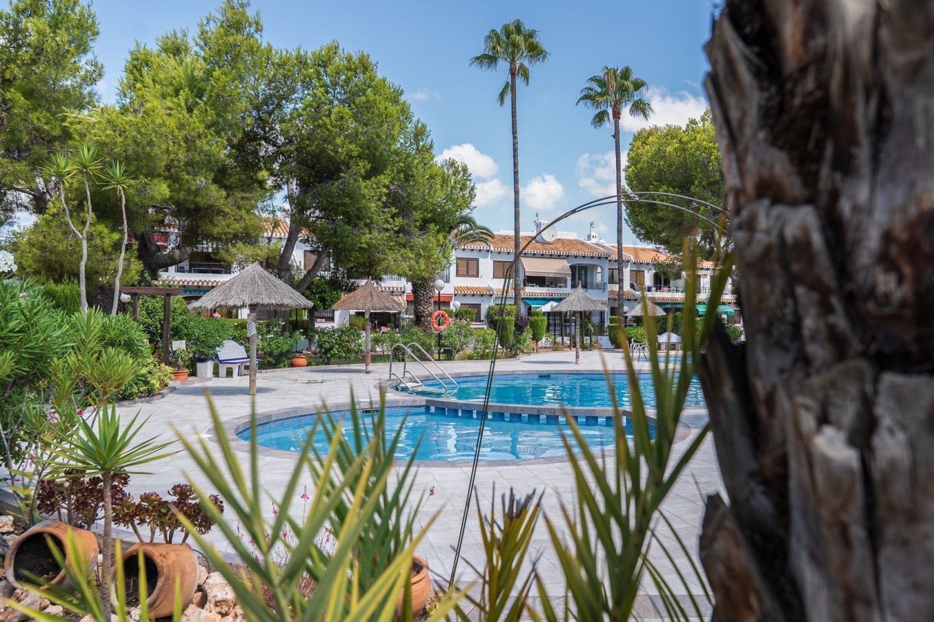 Videresalg - Leilighet / leilighet - Orihuela Costa - Cabo Roig