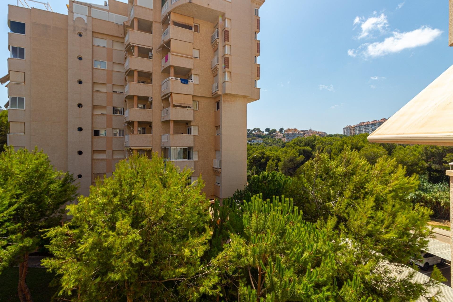Videresalg - Leilighet / leilighet - Orihuela Costa - Campoamor