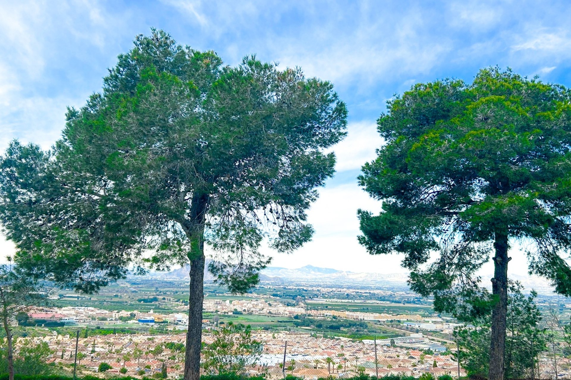 Videresalg - Leilighet / leilighet - Rojales - Ciudad Quesada