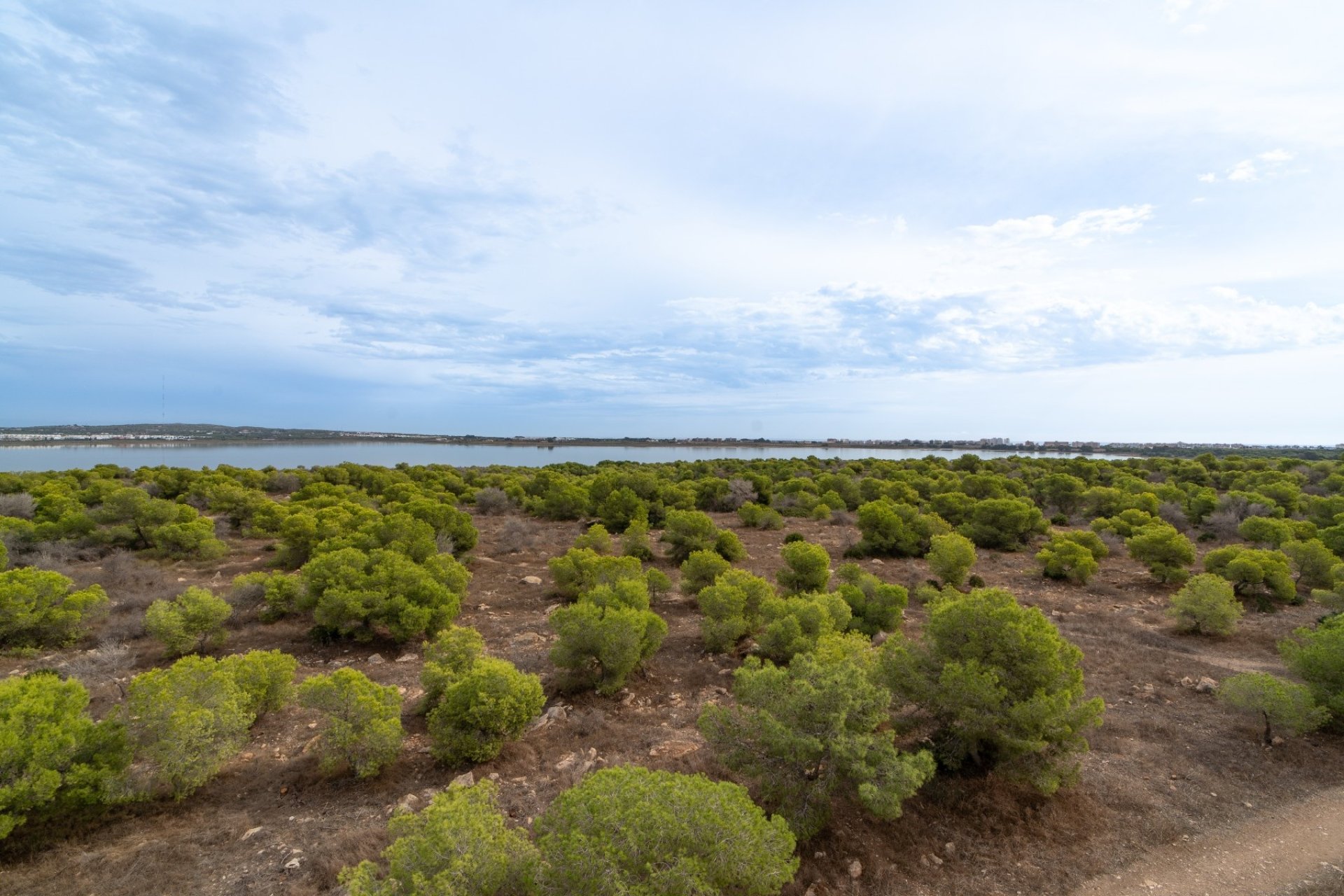 Videresalg - Leilighet / leilighet - Torrevieja - La Siesta - El Salado -  Torreta