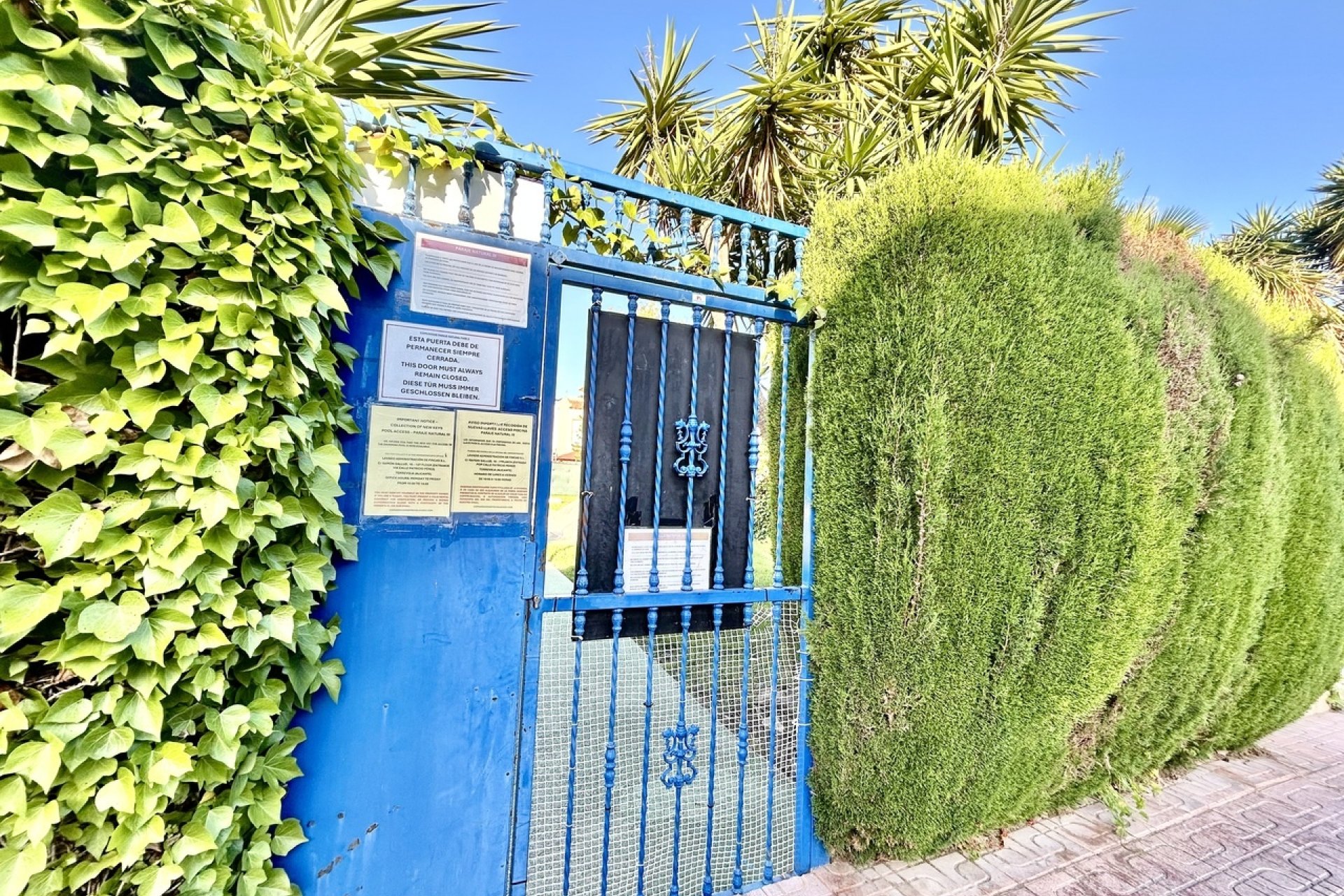 Videresalg - Leilighet / leilighet - Torrevieja