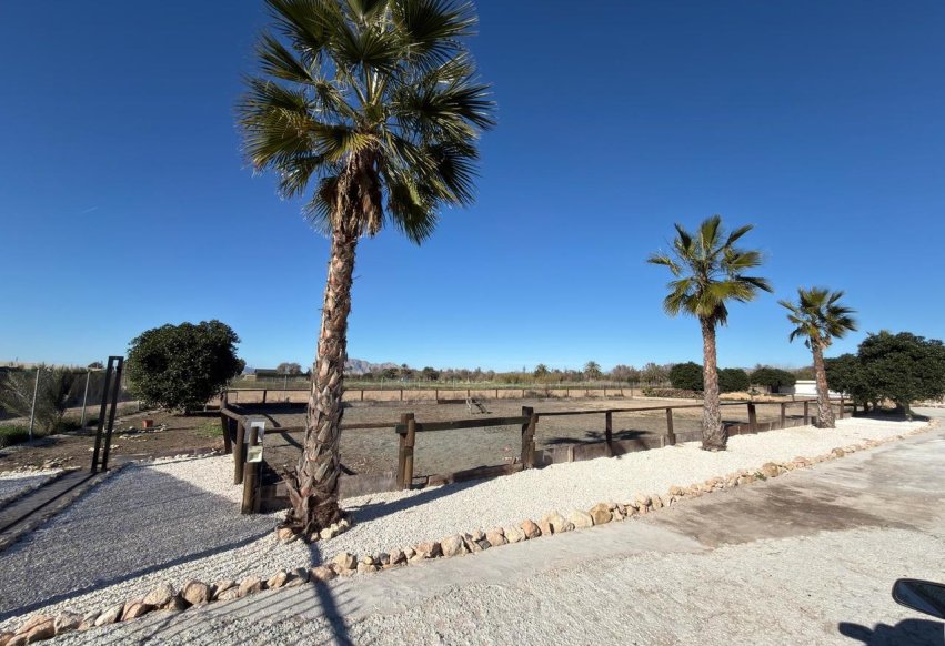 Videresalg - Parcela - Algorfa