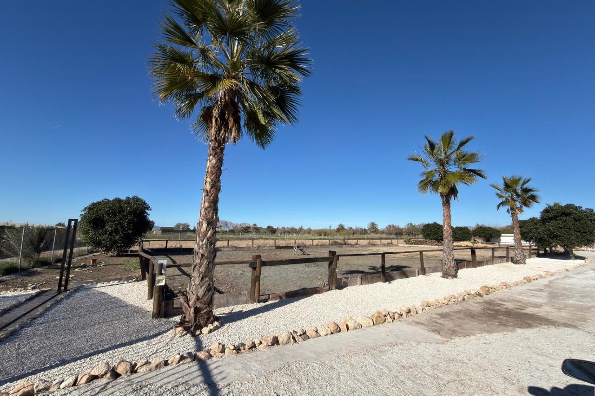 Videresalg - Parcela - Algorfa