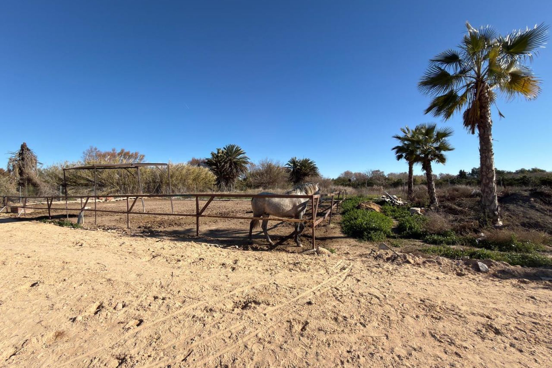 Videresalg - Parcela - Algorfa