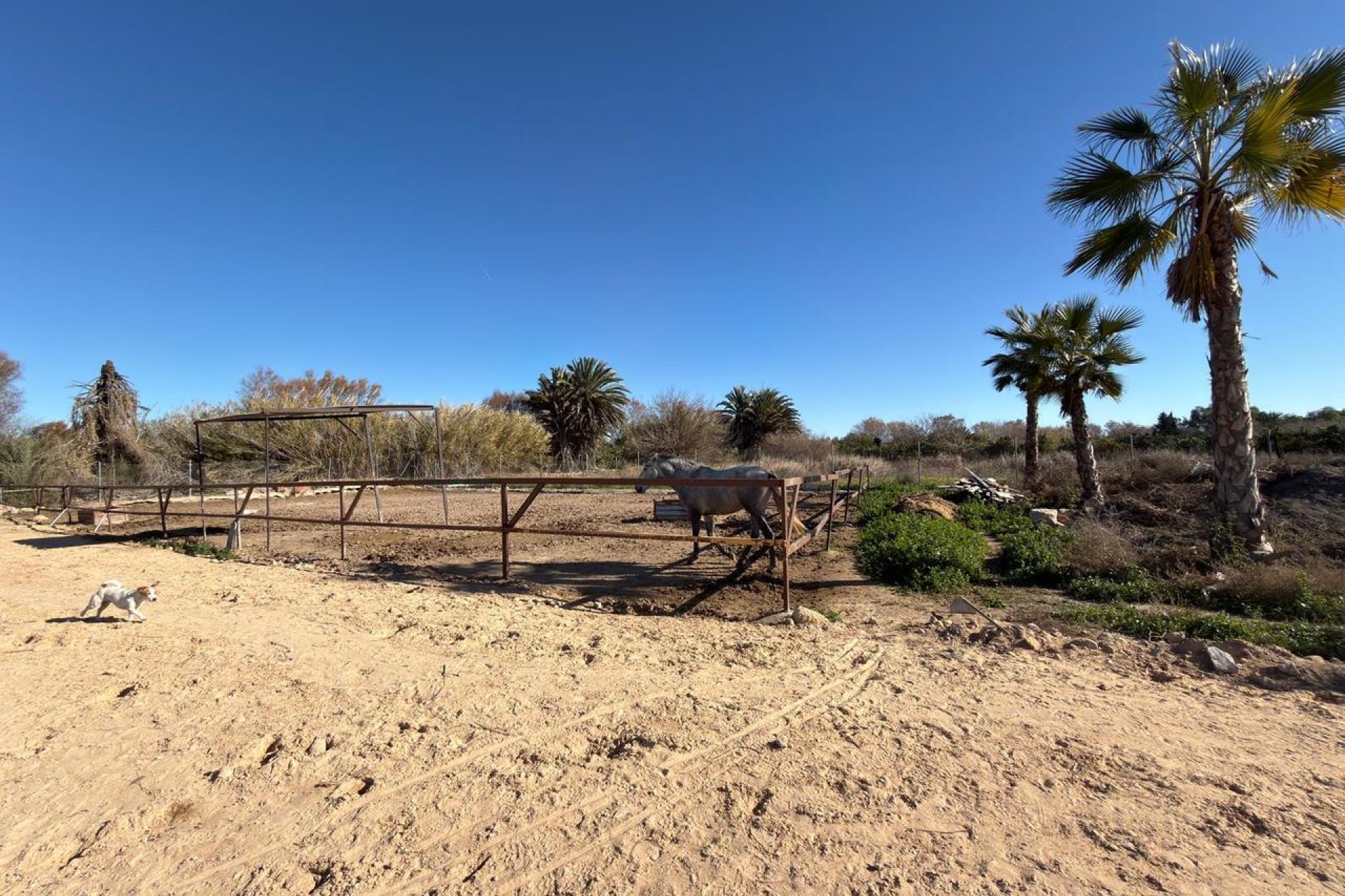 Videresalg - Parcela - Algorfa