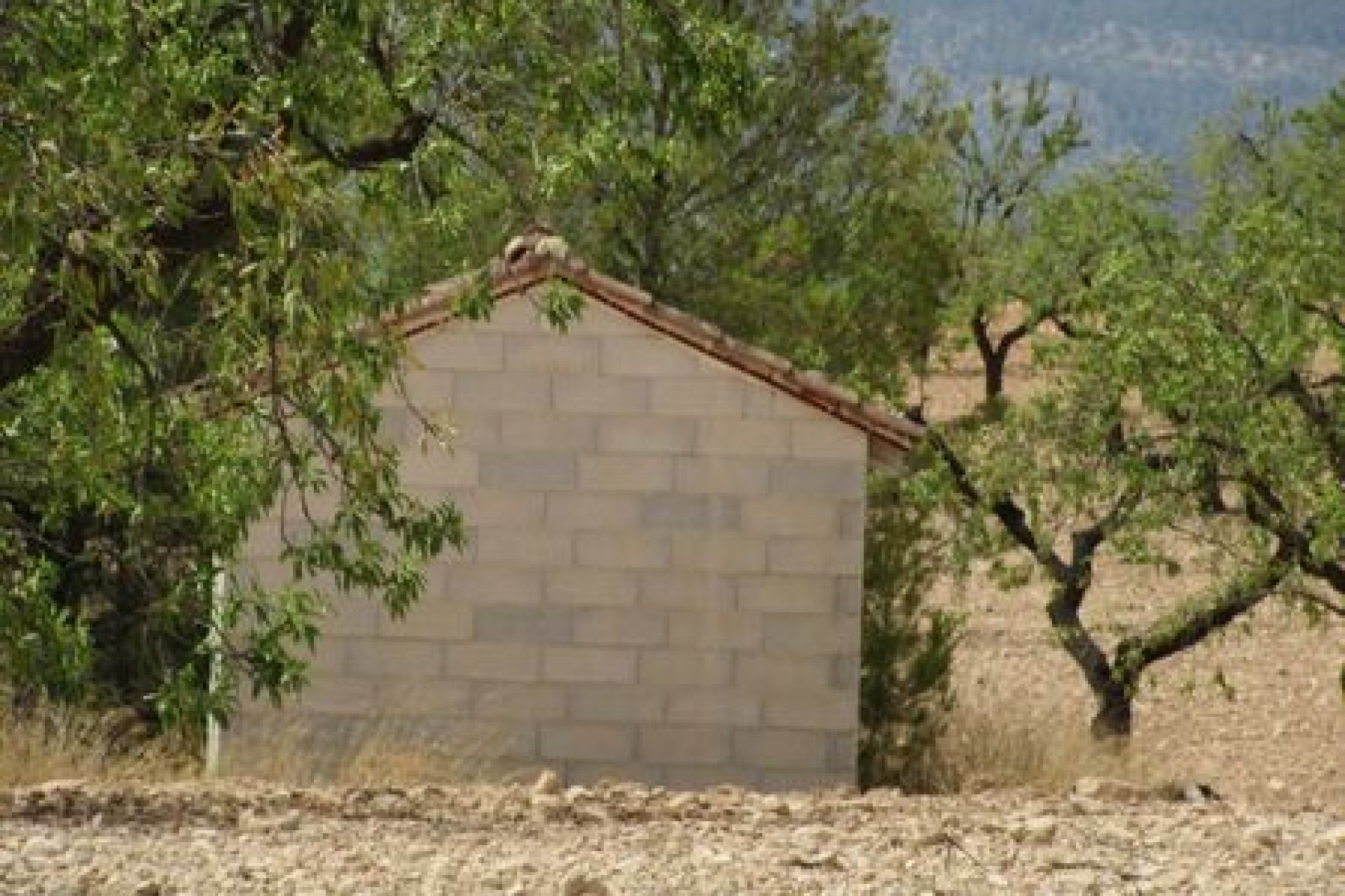 Videresalg - Parcela - Murcia