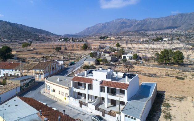Obra nueva - high-bungalow - La Canalosa