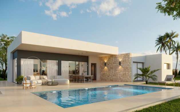 Obra nueva - detached - Aspe