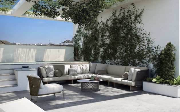 Nowy budynek - Penthouse - Torrevieja